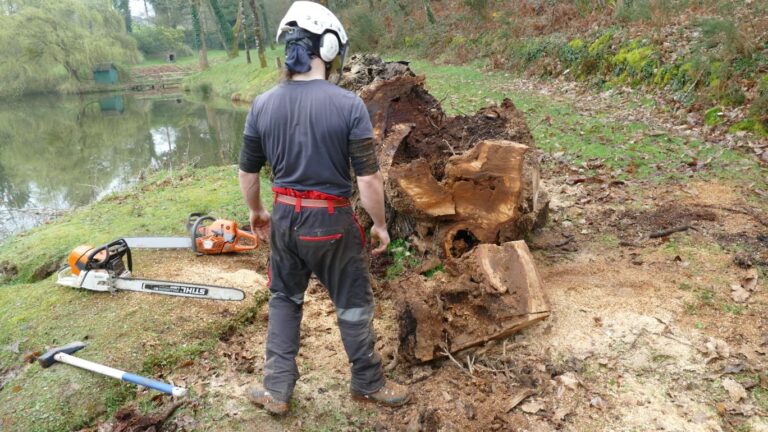 Débitage souche Cadan Debitage souche Cadan - Nivillac Penestin