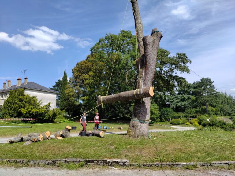 Démontage délicat rétention sur corde Nivillac Demontage delicat retention sur corde Nivillac - Nivillac Penestin