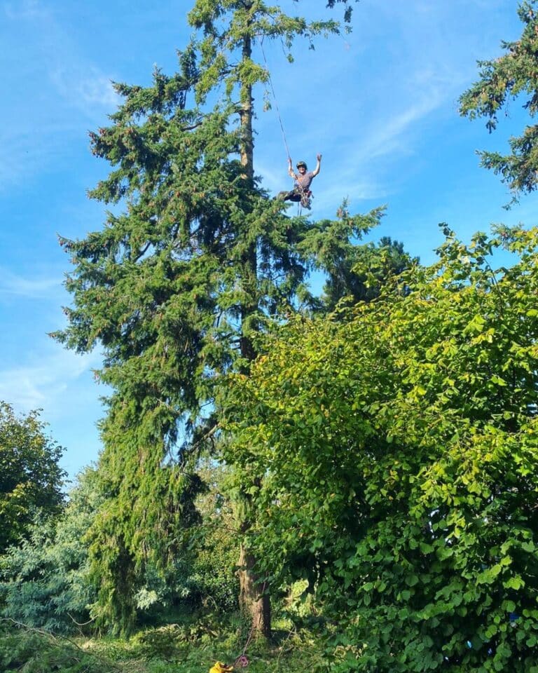 Démontage en rétention Pont-Château