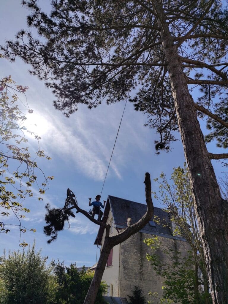 Démontage pin Le Croisic
