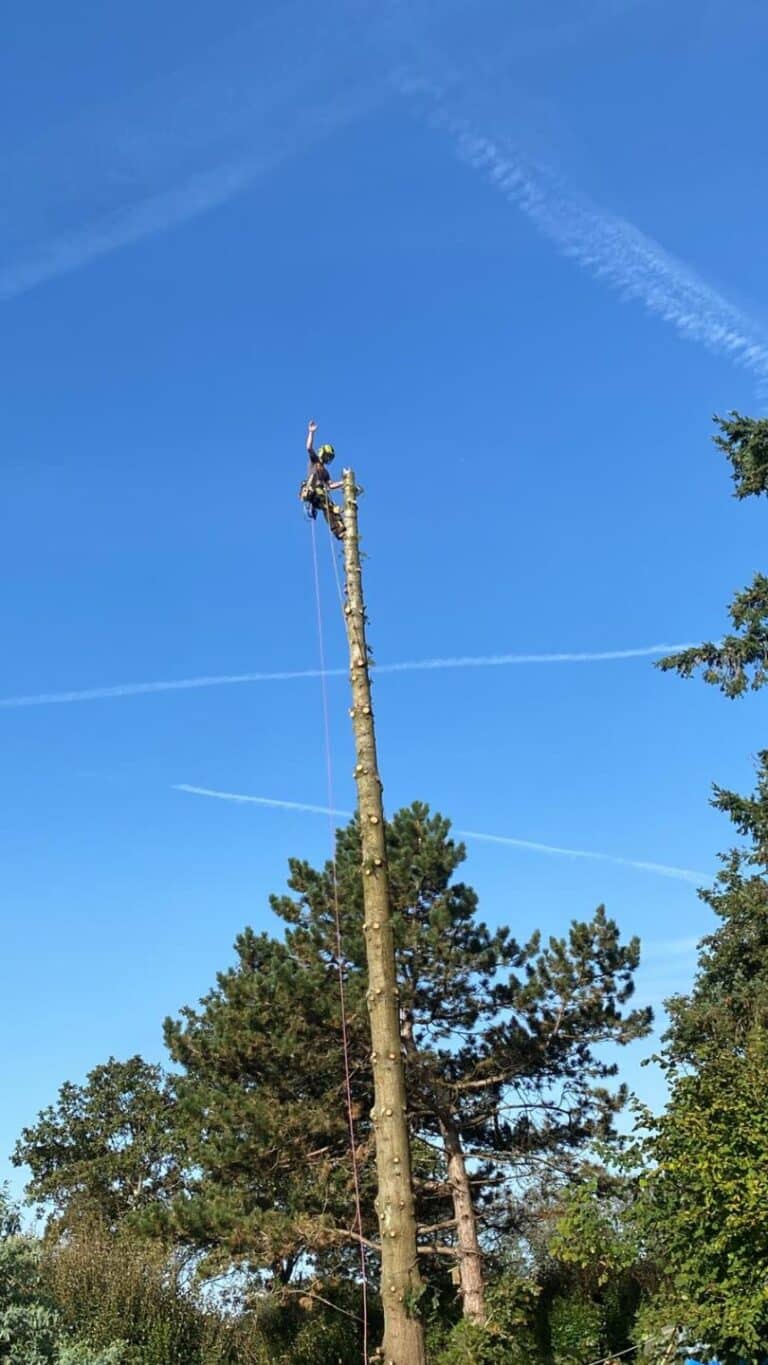Démontage sur fut Pont-Château