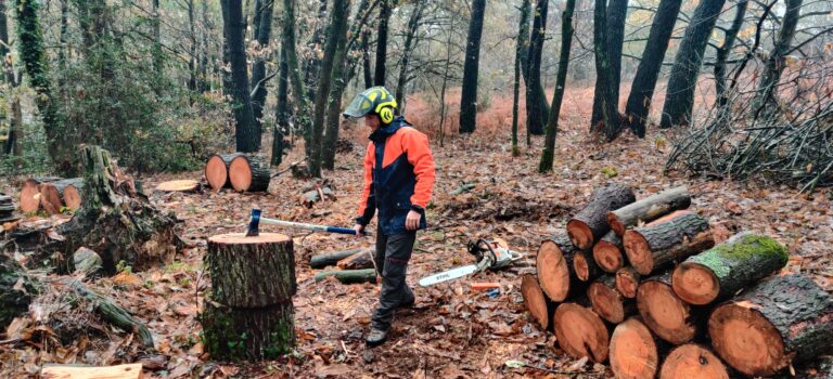 Fendage à la main forêt privée Marzan Fendage a la main foret privee Marzan - Nivillac Penestin