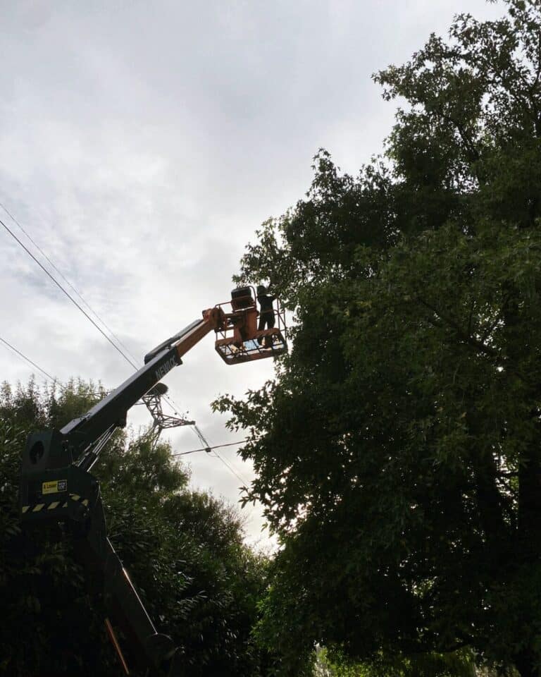 Mise en sécurité en nacelle Damgan