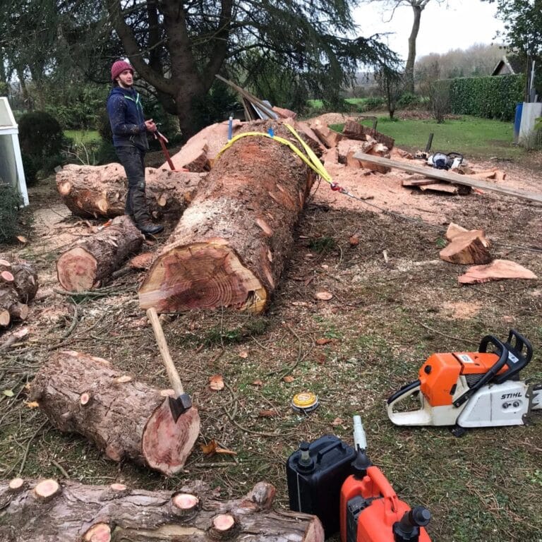 Sciage sequoia Savenay Sciage sequoia Savenay - Nivillac Penestin