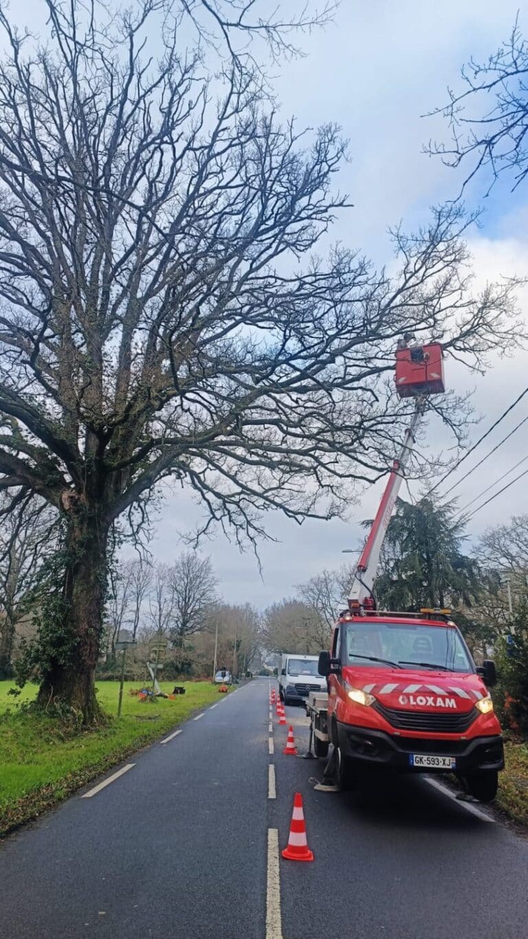 Travail urgence voierie bord de route Nort-sur-Erdre Travail urgence voierie bord de route Nort sur Erdre - Nivillac Penestin