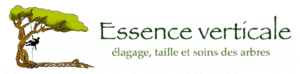 logo 1 - Nivillac Penestin